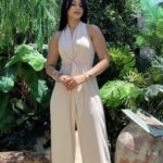 أفرهول باللون البيج